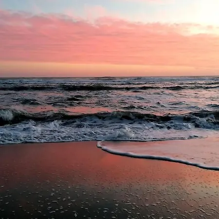 Sea Of Rome -